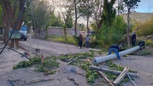 Lo que dejó el alerta por viento en Neuquén: árboles caídos, voladuras y ciudades sin luz