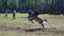 Imagen de Por una enfermedad que afecta a los caballos suspendieron un campeonato de jineteada en Cervantes