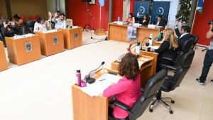 Se aprobó el nuevo organigrama municipal de Viedma y la tarifaria 2024 con modificaciones
