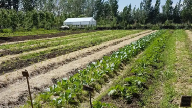 Cómo repoblar las chacras: Allen se decide por la agroecología