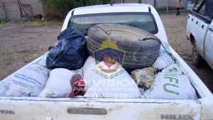 Trasladaban carne robada en Mendoza y los descubrieron en Rincón: iban con armas