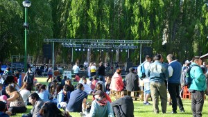 La Fiesta de la cerveza artesanal del sur neuquino tendrá música en vivo con diferentes estilos