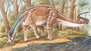 Descubren una nueva especie de dinosaurio en Neuquén y aseguran que es “un hallazgo increíble”