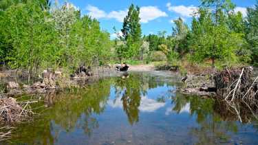 Según informes extraoficiales podría ser habilitado como balneario durante la temporada de verano.   Foto Flor Salto.