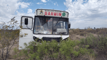 Despistó un colectivo con estudiantes sobre la Ruta 22 en Darwin: el conductor se descompensó y murió