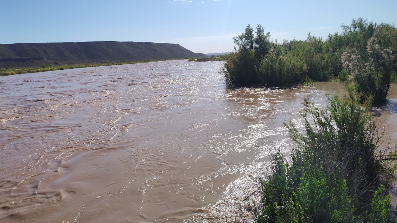 Por la crecida del río Colorado varios sectores de Rincón de Los Sauces ...