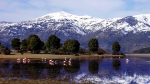 Declararon inconstitucional la derogación de la Ley de Tierras, incluida en el DNU de Milei