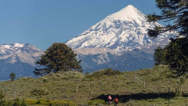 Como el Parque Nacional Lanín es muy grande, una buena forma de descubrirlo es elegir uno de sus sectores y explorarlo.