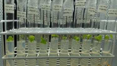 El proyecto surge en la Universidad Nacional de Río negro y permite la apertura al conocimiento de estas tecnologías por parte de los productores. Foto: gentileza