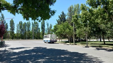 El hecho ocurrió en la plaza Ángel Maza de Cipolletti. Foto: Gentileza.