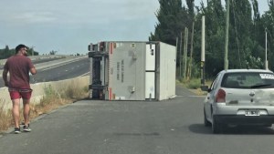 Un camión volcó por intentar esquivar a un perro sobre la Ruta 22, cerca de Fernández Oro