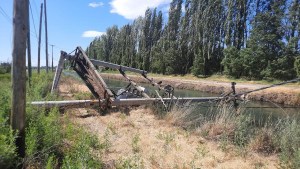 Viento en Cipolletti: un árbol cayó sobre un transformador y dejó sin luz a distintos barrios