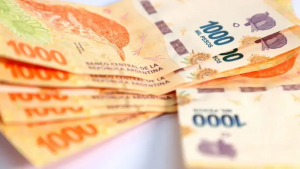 Bono de Anses: quiénes cobran el extra de 55 mil pesos en diciembre 2023