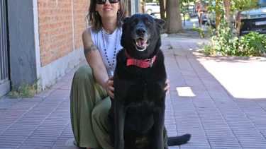 “Perrihijos” y “Gatihijos”, una tendencia que disputa el modelo tradicional de familia. Foto Florencia Salto