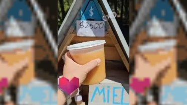 Pueblos de Patagonia: fue a comprar miel y se llevó una gran sorpresa