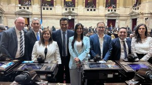 Llancafilo y Domingo se unieron a «Innovación Federal» en Diputados ante las medidas de Milei