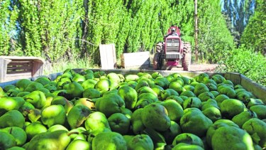 UATRE cerró el aumento salarial en 210% y el Sindicato de la Fruta continúa sus negociaciones este lunes. Foto Archivo.