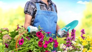 ¿Necesitás auxilio? Cinco trucos para mejorar tu jardín en primavera