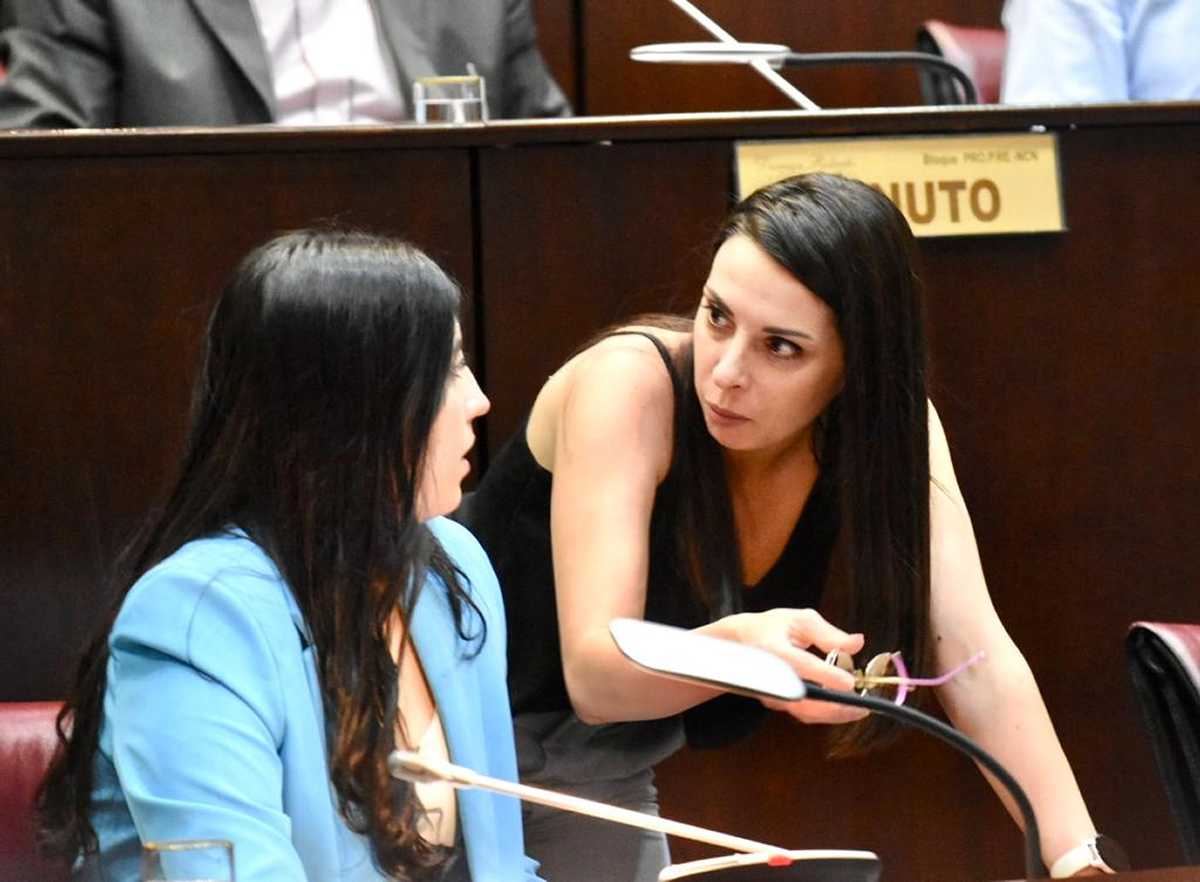 Cielubi Obreque y Ludmila Gaitán integran el bloque del MPN en la Legislatura. Foto: Matías Subat.