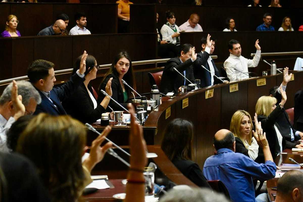 Los diputados votaron por unanimidad la suspensión de la ley 1282 para futuras autoridades. Foto: Matías Subat.