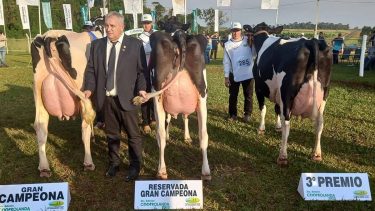 Un reconocido genetista ganadero de Córdoba fue asesinado a balazos por un amigo