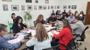 Hubo debate por el proyecto que habilita el cobro de tasas a YPF (Foto: Andrea Vazquez)