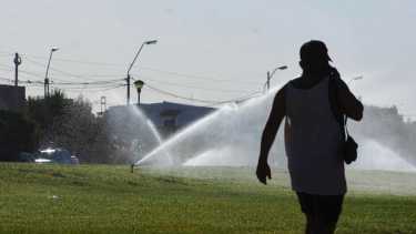 Clima en Neuquén y Río Negro hoy: El pronóstico del tiempo para este domingo 14 de enero