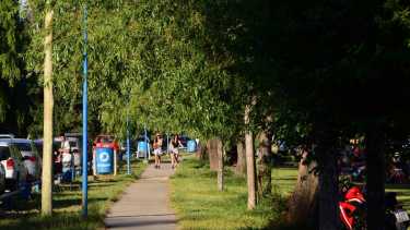 En la previa de Nochebuena y Navidad, cielo nublado, calor y mucho viento: ¿a qué hora llegan las ráfagas más fuerte al Alto Valle?