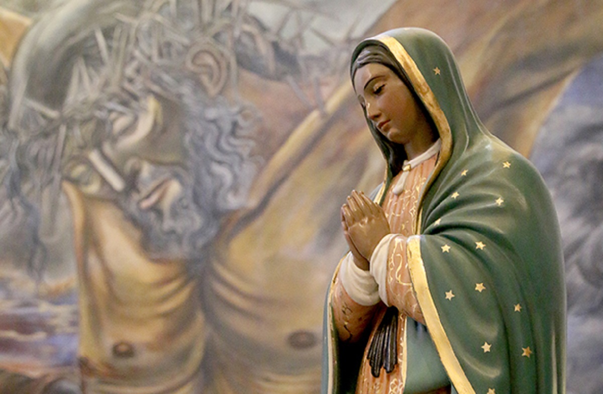 La Virgen de Guadalupe recuerda las gracias de María.-