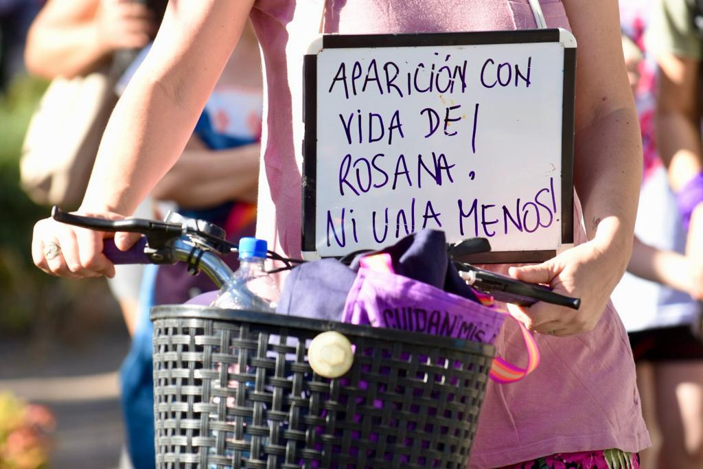 En la última marcha del 25 de noviembre, día internacional de la eliminación de la violencia contra las mujeres, se pidió por Rosana. En ese momento llevaba dos días desaparecida. Foto Matías Subat.