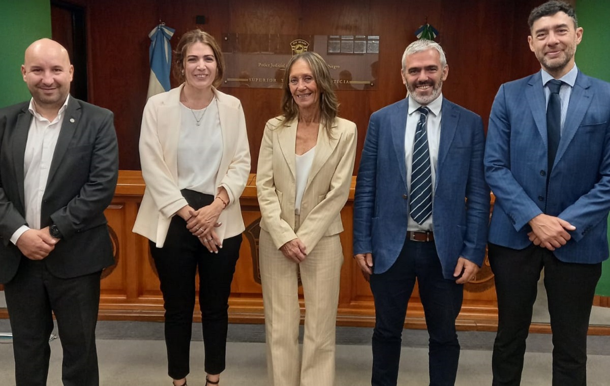 El Consejo de la Magistratura fue presidido por la titular del STJ, Liliana Piccinini, salvo en la elección del reemplazo de la jueza de Garantías. 