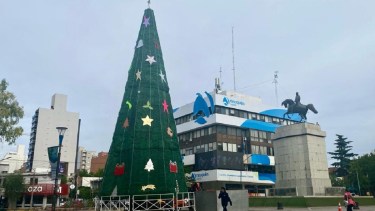 El árbol se encuentra al lado del monumento a San Martín. Foto: Matías Subat.