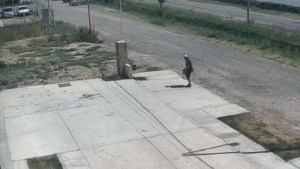 Robaron a plena luz del día en una panadería industrial de Cipolletti