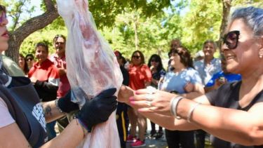 La venta será el sábado 30 en Neuquén (foto: archivo Matías Subat)