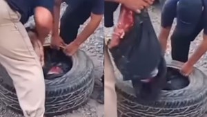 Decomisaron casi 200 kilos de carne que venían hacia Río Negro y Neuquén: los traían en las ruedas