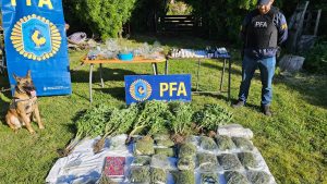 Esquel: la Policía Federal secuestró más de 22 millones de pesos en marihuana, en Trevelín