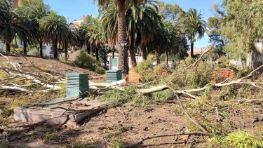 Una de las plazas destruidas de Bahía Blanca. 
