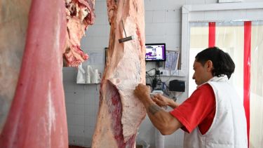 El Gobierno busca lanzar su plan de cortes de carne baratos para las fiestas