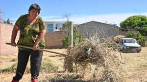 Celia, la historia de una mujer de Allen que crió seis hijos, limpia terrenos y arregla patios