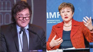 Dólares: qué alternativas de financiamiento estudiaría el equipo de Milei, tras la reunión con el FMI