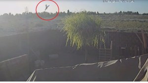 Video | Impactante: así cayó la avioneta en Cutral Co, donde murieron dos personas