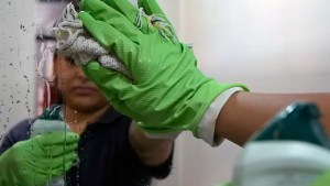 Empleadas domésticas: Qué día se cobra el aguinaldo de diciembre 2023