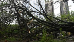 Temporal Bahía Blanca: un joven grababa videos del temporal y el viento se llevó su sillón en vivo