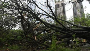 El impacto del temporal en Bahía Blanca: un joven perdió su sillón en vivo mientras grababa la gravedad de la tormenta y las consecuencias del fenómeno climático.