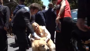 Estallaron las redes: el presidente Javier Milei se bajó del auto junto a su hermana para saludar a un perro