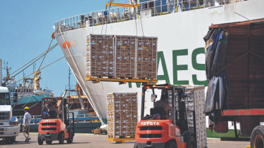 Las exportaciones tuvieron un importante aumento.
Foto: archivo. 