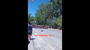 Se cruzó un gato en la Vuelta al Valle y produjo caídas