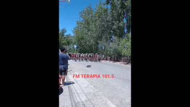 Un gato se cruzó por la calle durante la carrera de ciclismo y generó caídas. (Foto: Captura Video FM Terapia)