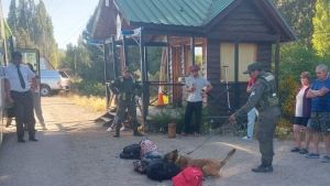 Viajaba en una colectivo con droga valuada en 14 millones y fue descubierto por Gendarmería en Junín