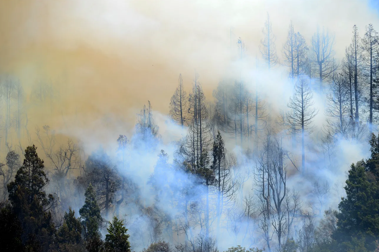 Uno de los últimos grandes incendios forestales en un área protegida afectó parte del parque nacional Nahuel Huapi, en la zona del lago Steffen y el Cañadón de la Mosca. Archivo/ Chino Leiva